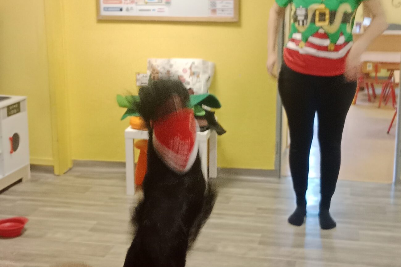 filter: 0; jpegRotation: 90; fileterIntensity: 0.000000; filterMask: 0; module:1facing:0;
hw-remosaic: 0;
touch: (-1.0, -1.0);
modeInfo: ;
sceneMode: Night;
cct_value: 0;
AI_Scene: (-1, -1);
aec_lux: 0.0;
hist255: 0.0;
hist252~255: 0.0;
hist0~15: 0.0;